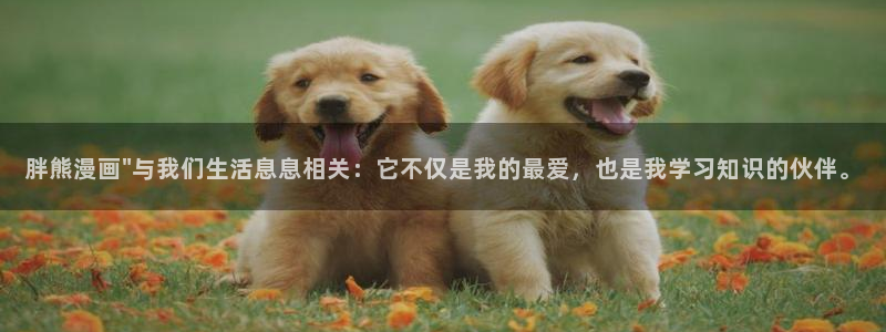 私密教学汗汗漫画：胖熊漫画\