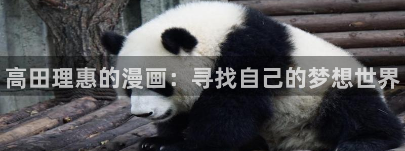 汗汗漫画在线观看免费版完整：高田理惠的漫画：寻找自己的梦想世界