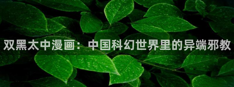 汗汗漫画在线免费观看：双黑太中漫画：中国科幻世界里的异端邪教