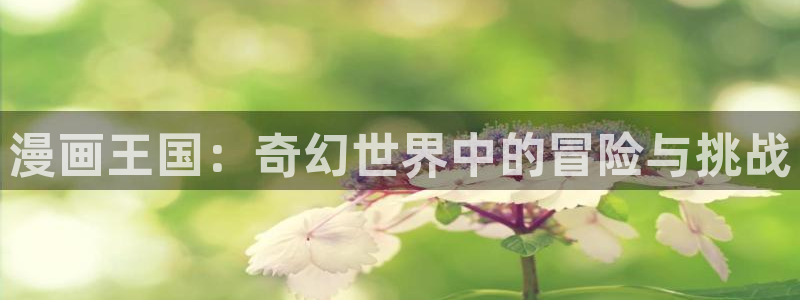 汗汗漫画51：漫画王国：奇幻世界中的冒险与挑战