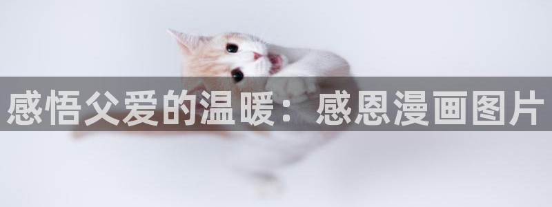 汗汗漫画ss s：感悟父爱的温暖：感恩漫画图片